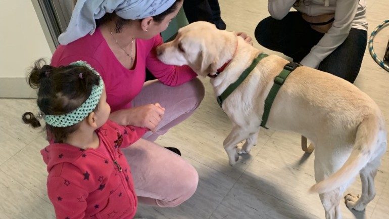 Progetto nazionale di Dog Therapy